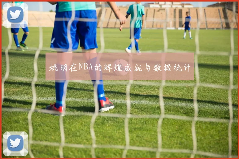 姚明在NBA的辉煌成就与数据统计